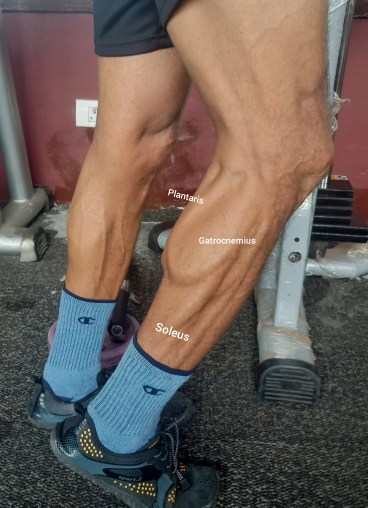 InShot_20190904_130522709