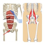 InShot_20191119_093808681