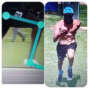 InShot_20191230_105054094