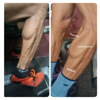 InShot_20200307_133510678 (2)