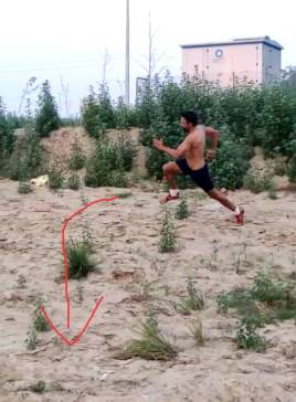 WhatsApp Image 2020-03-22 at 11.10.07 AM