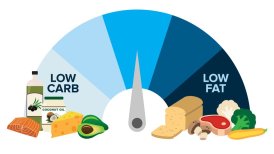 low carb high fat